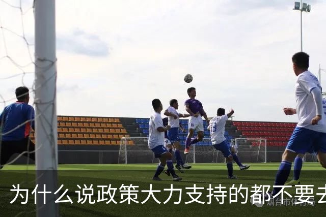 为什么说政策大力支持的都不要去干？