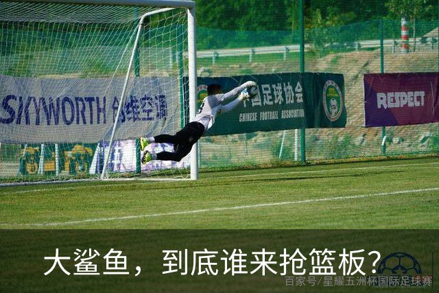 大鲨鱼，到底谁来抢篮板？