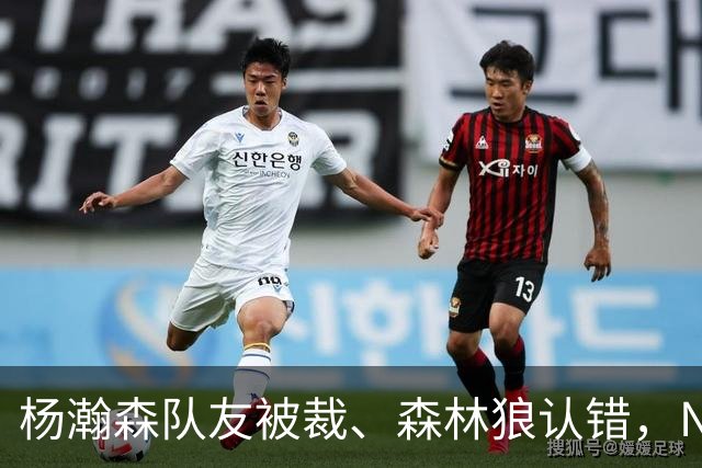杨瀚森队友被裁、森林狼认错，NBA高个控卫实验，为什么都失败了