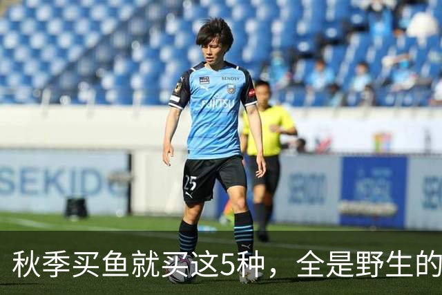 秋季买鱼就买这5种，全是野生的，人工养不了，比养殖鱼更香