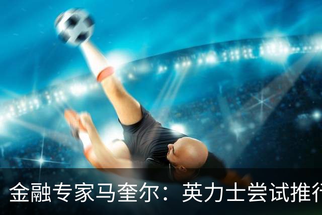 金融专家马奎尔：英力士尝试推行多俱乐部所有权模式已失败