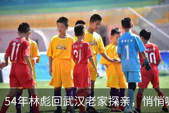 54年林彪回武汉老家探亲，悄悄嘱托公社书记交给汪静宜3000元钱